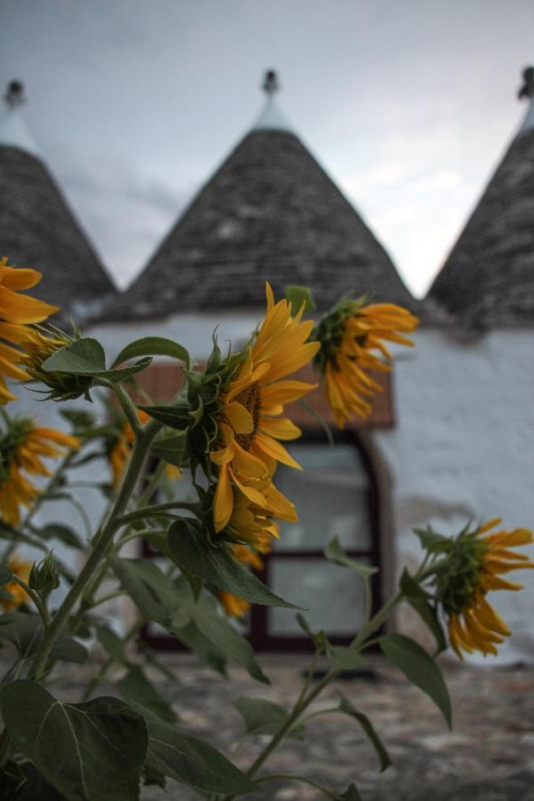 Masseria Ferri Ostuni Ngoại thất bức ảnh