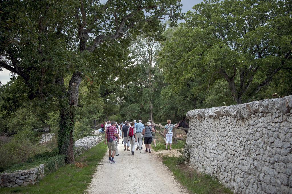Masseria Ferri Ostuni Ngoại thất bức ảnh